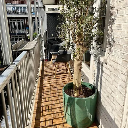 公寓 Modern And Light In Amsterdam-west